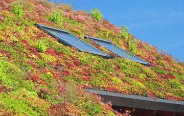 Bearwood living roof systems