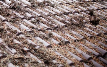 Bearwood roof cleaning companies