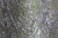 Bearwood fibreglass roof work